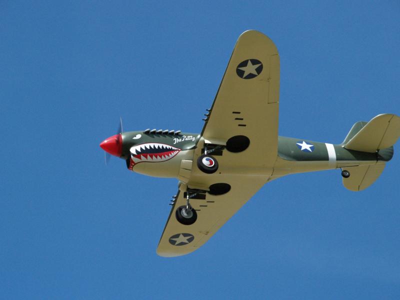 (image for) 1/4 scale P-40 Warhawk Plastic and wood only