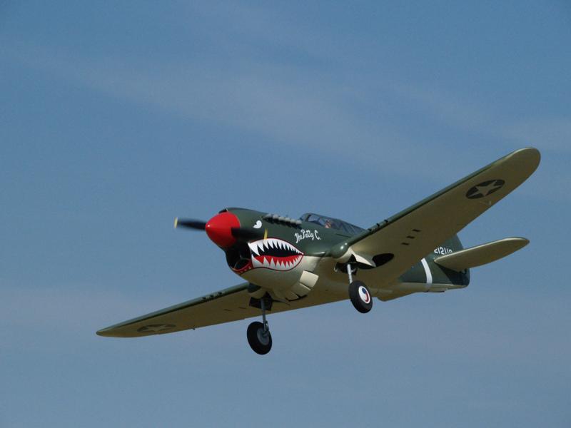1/4 scale P-40 Warhawk